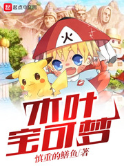 神奇宝贝之大木叶风 小说