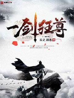 一剑之尊境界