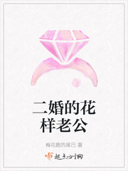 二婚现代小说