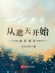 遮天:从太阳圣皇陨落开始的小说
