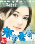 女总裁的王牌高手大结局