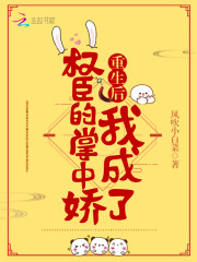南宝衣萧弈小说叫什么
