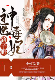 神医毒妃皇子介绍