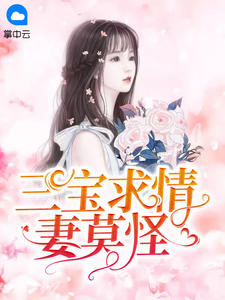 三宝求情妻莫怪慕安歌容凌小说在线阅读全文