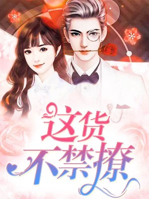 夏知晚的小说