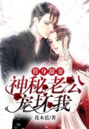一夜锁情总裁宠妻太甜蜜