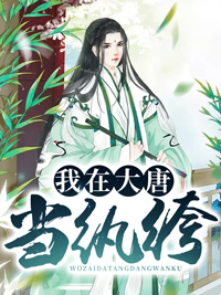 穿越到大唐的李文昊小说