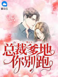 总裁爹地你别跑