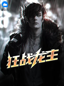 狂龙战婿叶锋