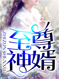至尊神婿叶昊郑漫儿全集免费阅读 小说