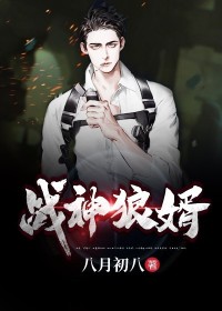 叶新 守夜人小说