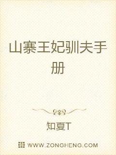 山寨夫人电视连续剧