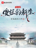 四合院傻柱 小说