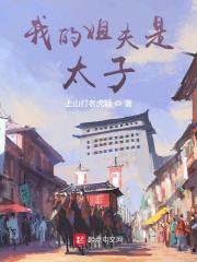 小说我的姐夫是太子