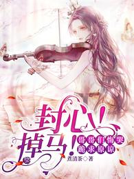 叶棠薄迟宴小说叫什么
