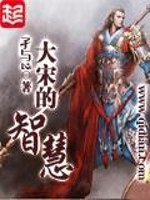 大宋的智慧免费阅读新笔趣阁