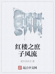 红楼之庶子风流多少字