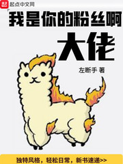 我是你的粉丝是什么意思我不明白