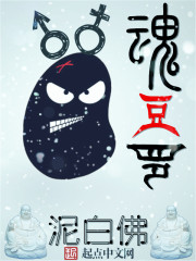 综漫里的罗魂小说最新章节更新