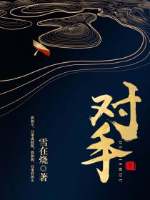 小说对手全文免费阅读收听