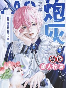 恶毒炮灰禁止美人扮演 作者:粽子我爱吃甜的