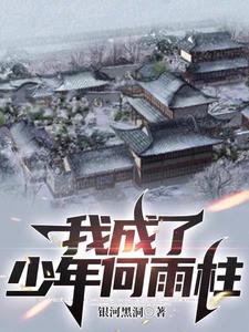 我成了少年何雨柱小说免费阅读笔趣阁