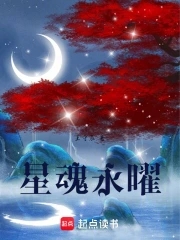 星魂永曜免费阅读小说
