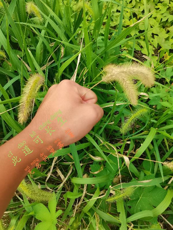 此道胜也的意思