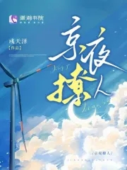 夜少最撩人免费阅读