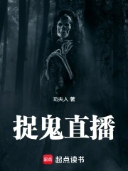 主角直播捉鬼的系列小说