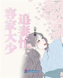 容少追妻华招多