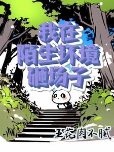 小说主人公叫苏灿