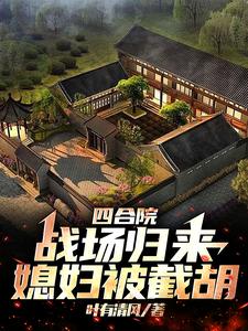 四合院退伍军人小说