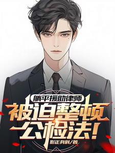 请让法律来制裁我