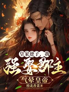 让朕吃口软饭吧格格党