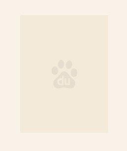 都重生谁还混社会魏子俊