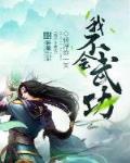 我不会武功 4