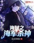 海贼之海军杀神小说免费阅读
