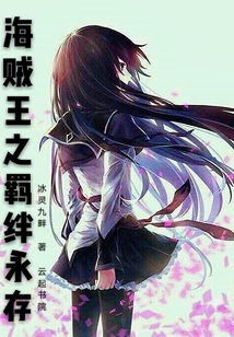 海贼王之永久正义 小说