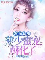 傅少蜜宠佳